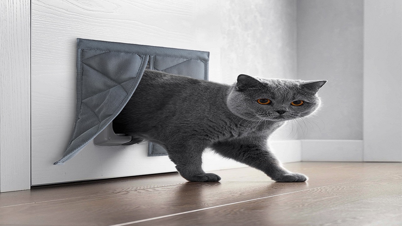 Pets Thermal Insulation Door Covers: Managing Your Pets and Indoor Room Temperature