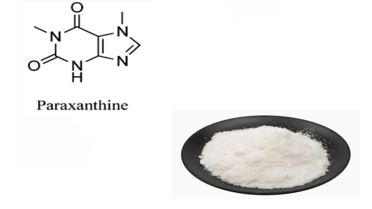 Paraxanthine Side Effects: What You Should Consider Before Use